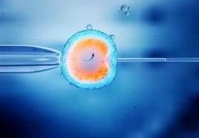 卵巢早衰适合做第几特需巢早衰会带来哪些影响？