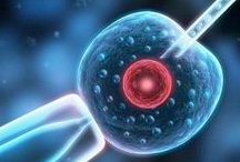 国内未婚做试管机构多？私立医院不要结婚证或是虚假宣传