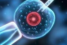 重度宫腔粘连在云南省做试管婴儿靠谱吗，重度宫腔粘连试管婴儿成功率多少！