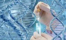 柬埔寨皇家生殖遗传医院金边医院洗精费用多少钱？试管婴儿移植成功后检查流程有哪些？