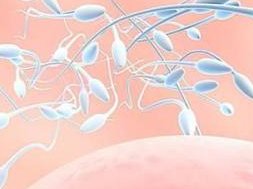 2026梅州妇儿院能做三代试管婴儿技术吗？