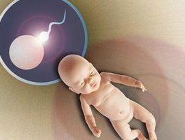 重庆地区有哪些私立的机构可以做试管技术？促排期间出血了还继续用药吗,中途停止促排的副作用？